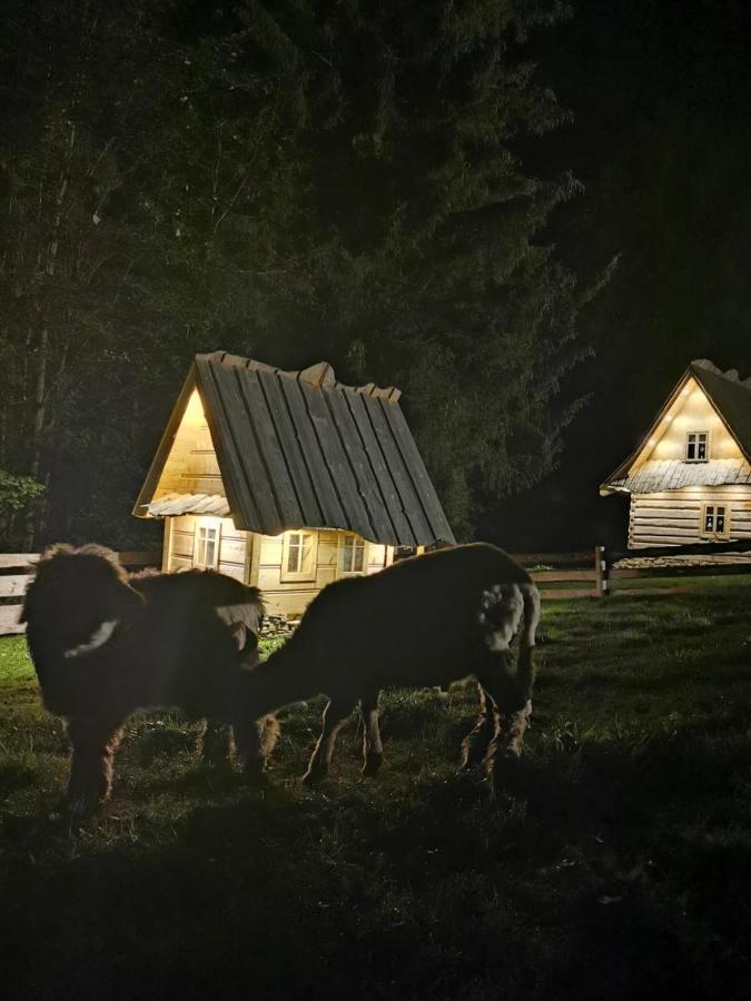 Zagroda Krowiarki Chocholow Exteriör bild